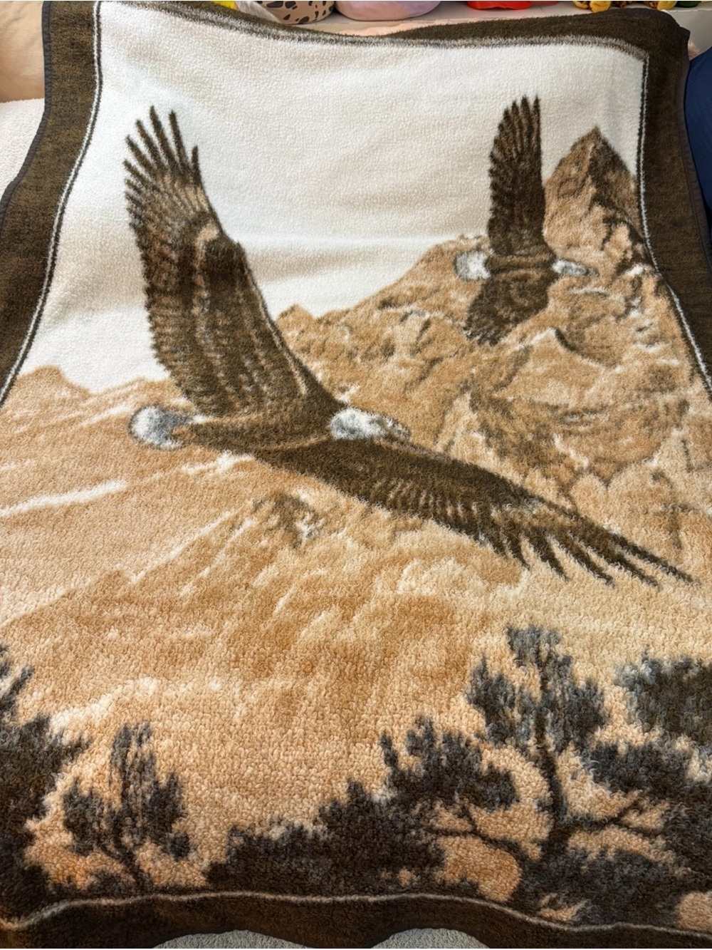 Biederlack VTG Bald Eagles Plush Throw Blanket - 54” X 78”